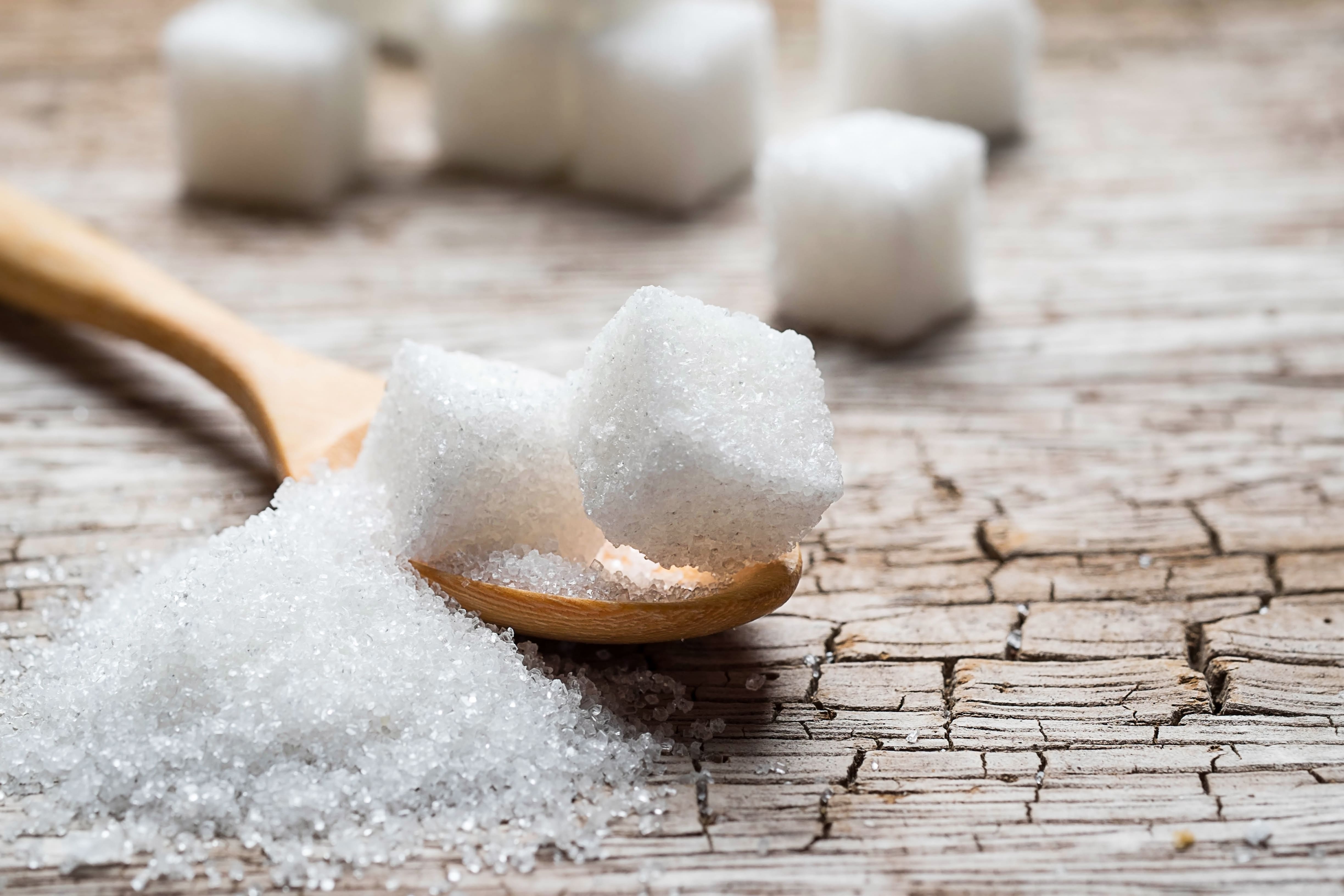 Sugar harms the gut